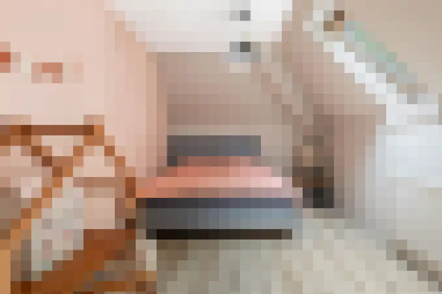 Baggel 2 Emmer-Compascuum thumbnail 25