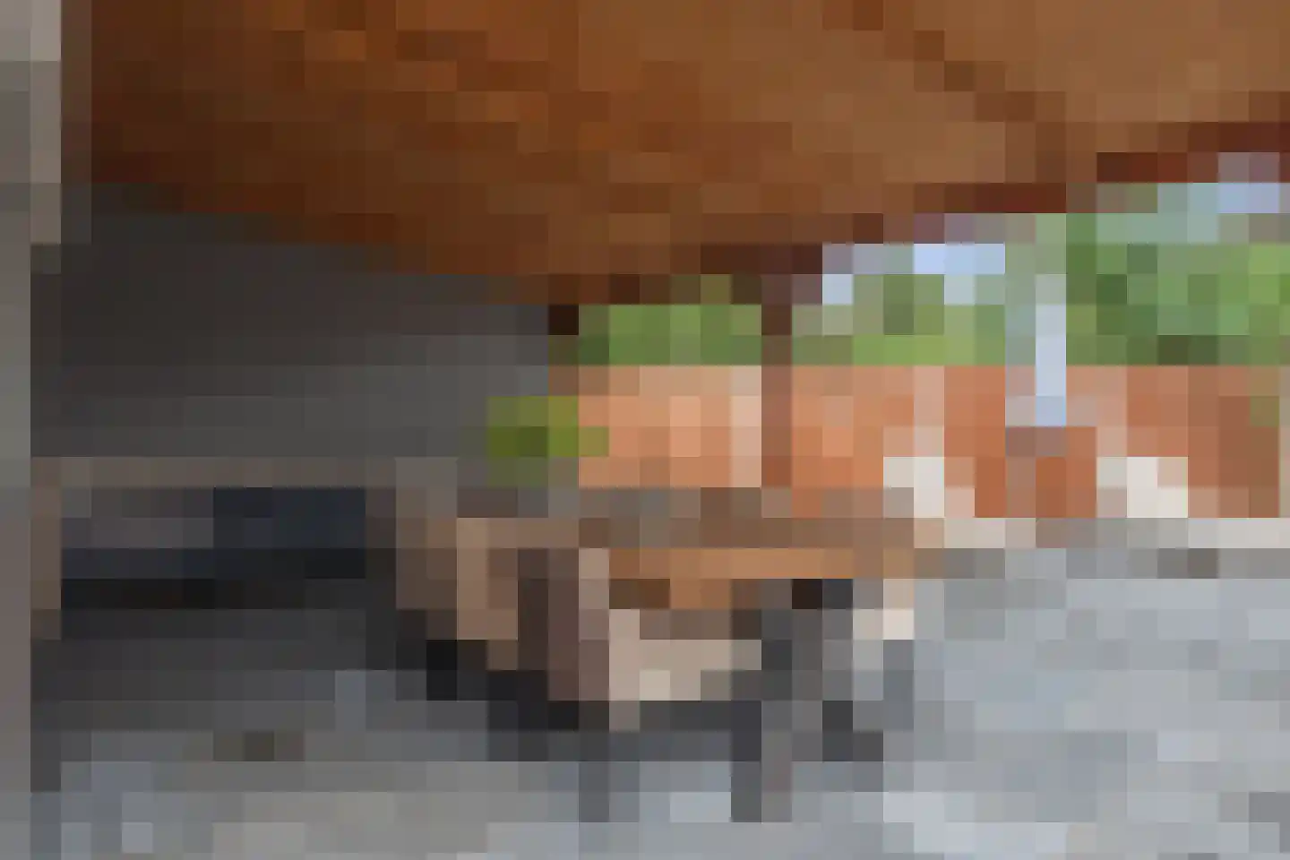 Baggel 2 Emmer-Compascuum thumbnail 34