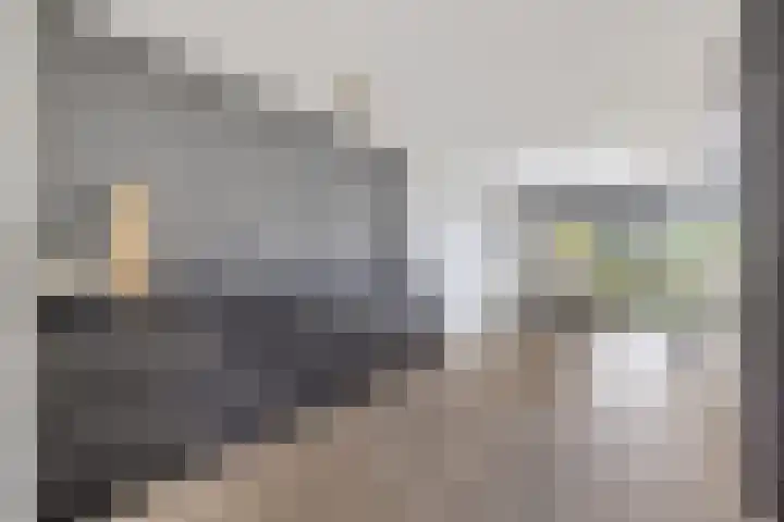 Baggelaar 3 Echtenerbrug thumbnail 10