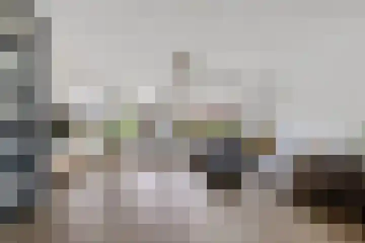 Baggelaar 3 Echtenerbrug thumbnail 11