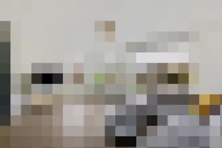 Baggelaar 3 Echtenerbrug thumbnail 12