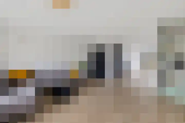 Baggelaar 3 Echtenerbrug thumbnail 13