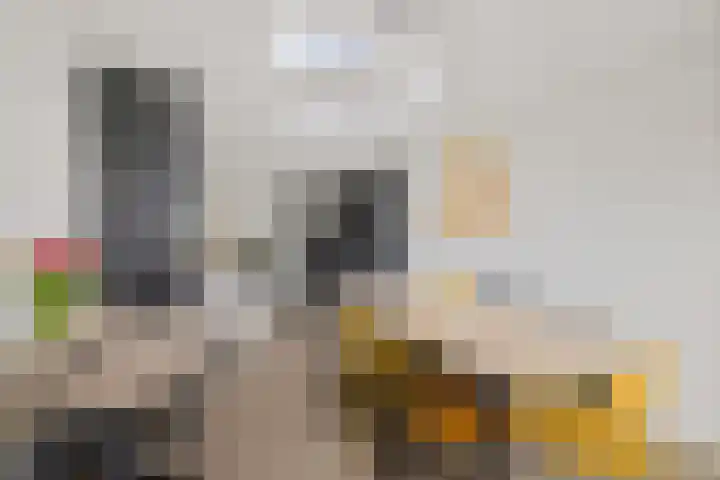 Baggelaar 3 Echtenerbrug thumbnail 17