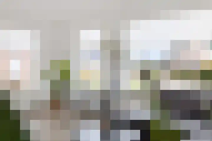 Baggelaar 3 Echtenerbrug thumbnail 19