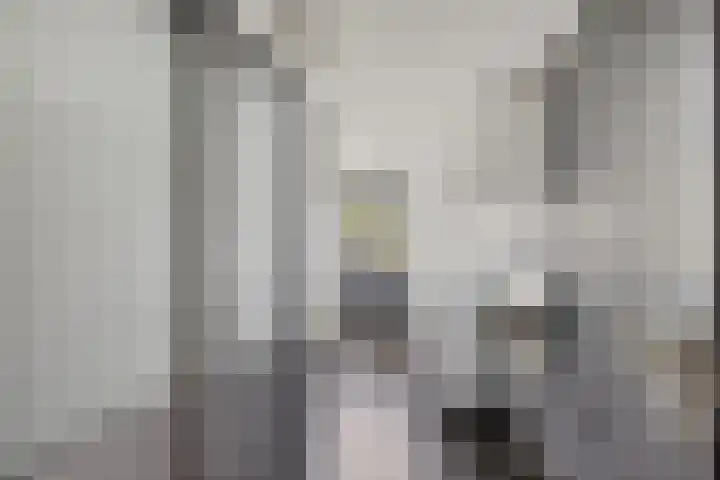 Baggelaar 3 Echtenerbrug thumbnail 21
