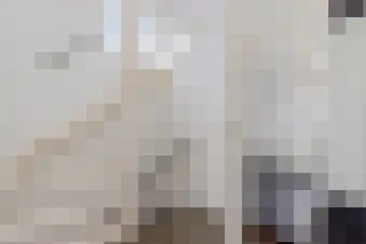 Baggelaar 3 Echtenerbrug thumbnail 24