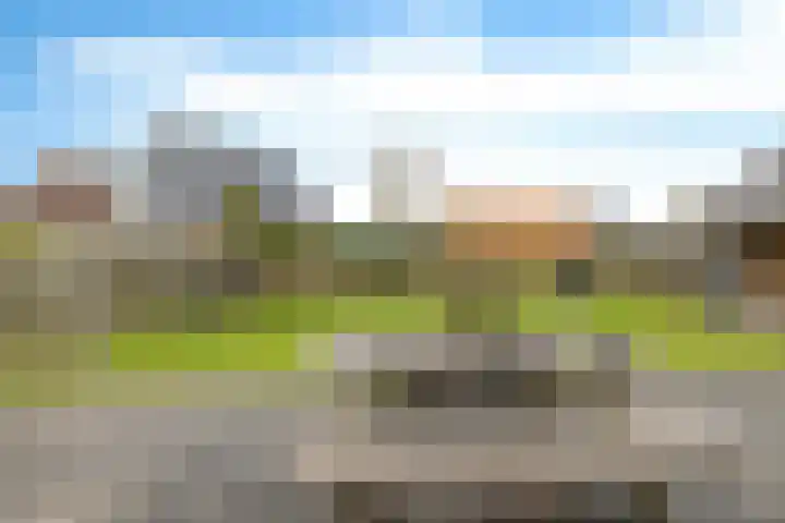 Baggelaar 3 Echtenerbrug thumbnail 36