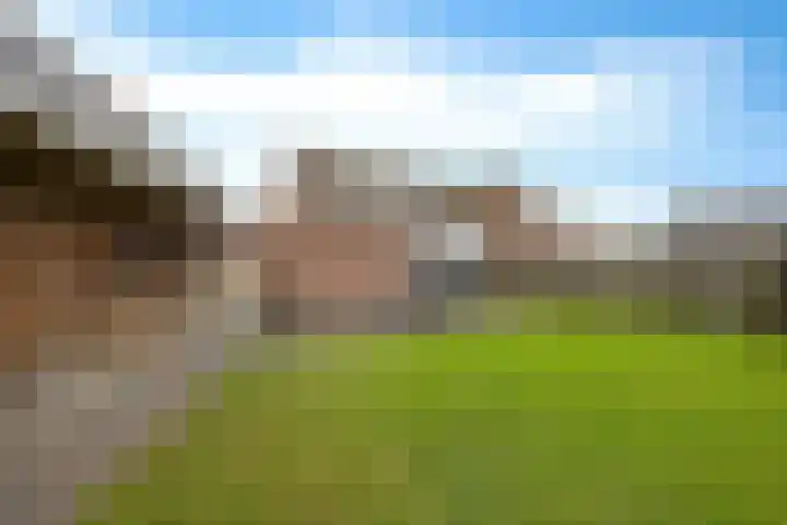 Baggelaar 3 Echtenerbrug thumbnail 39