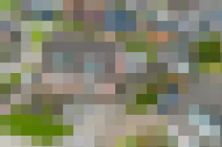 Baggelaar 3 Echtenerbrug thumbnail 43