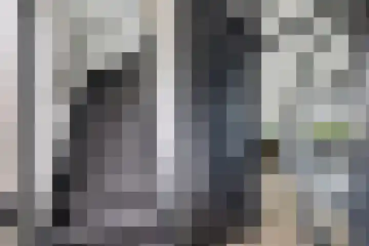 Baggelaar 3 Echtenerbrug thumbnail 9