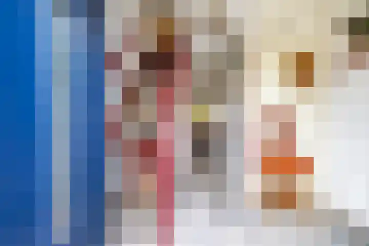 Baggelaar 7 Peize thumbnail 10