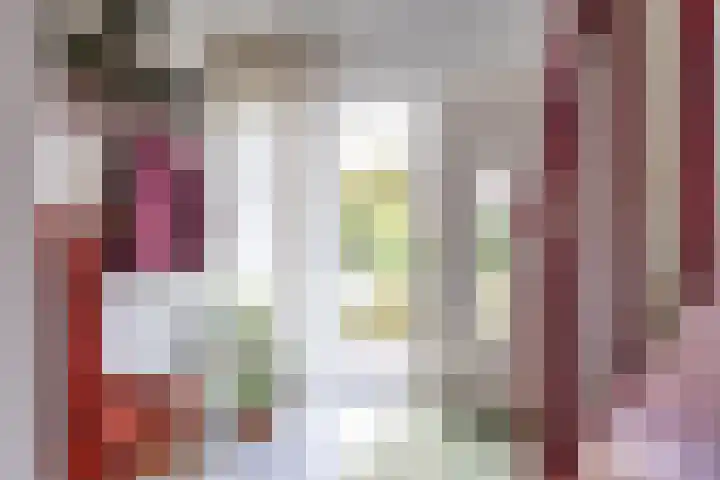 Baggelaar 7 Peize thumbnail 12