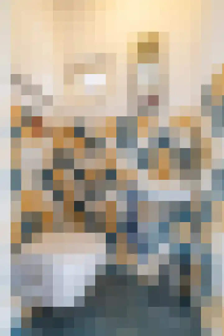 Baggelaar 7 Peize thumbnail 13