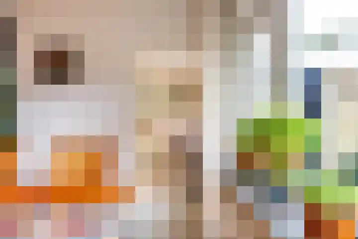 Baggelaar 7 Peize thumbnail 20