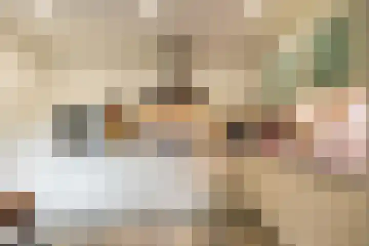 Baggelaar 7 Peize thumbnail 22