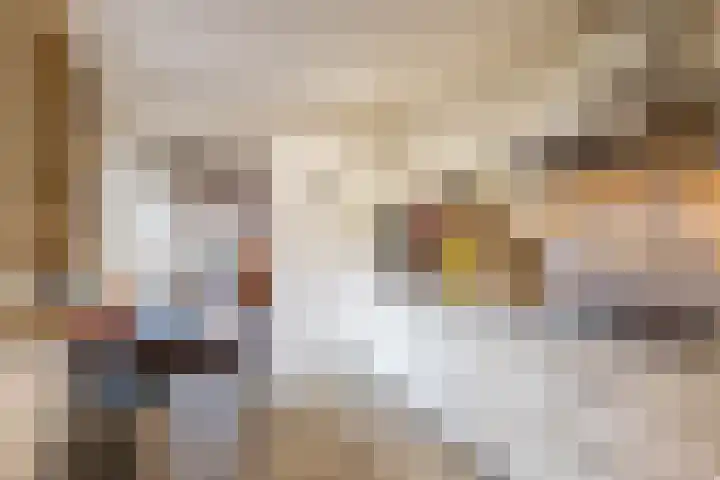 Baggelaar 7 Peize thumbnail 23