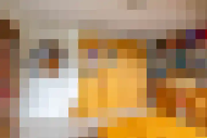 Baggelaar 7 Peize thumbnail 33