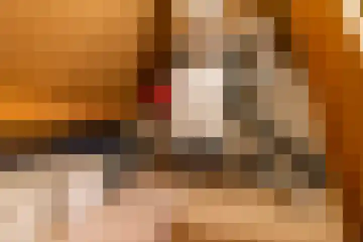 Baggelaar 7 Peize thumbnail 40