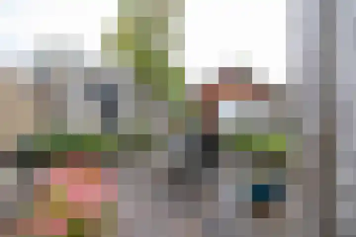Baggelaar 7 Peize thumbnail 42