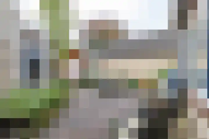 Baggelaar 7 Peize thumbnail 43