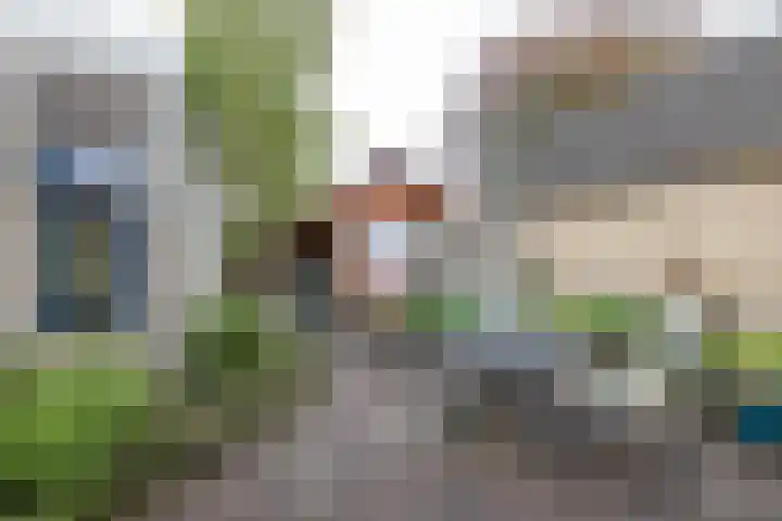 Baggelaar 7 Peize thumbnail 44