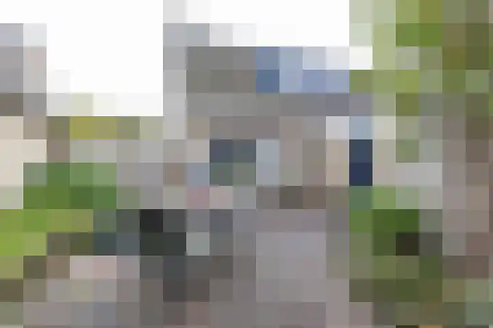 Baggelaar 7 Peize thumbnail 45