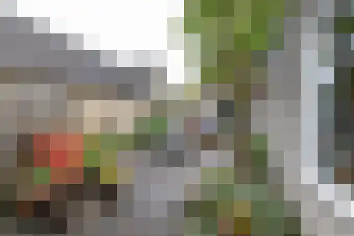 Baggelaar 7 Peize thumbnail 46