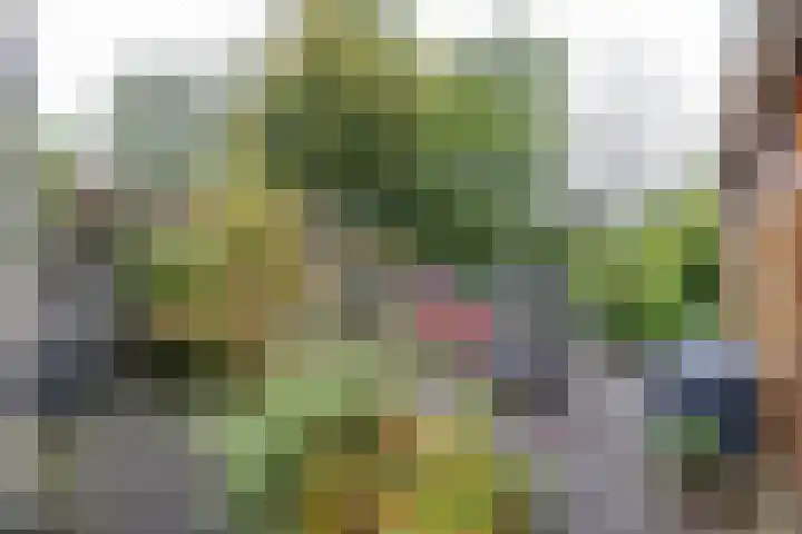 Baggelaar 7 Peize thumbnail 47
