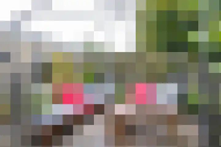 Baggelaar 7 Peize thumbnail 48