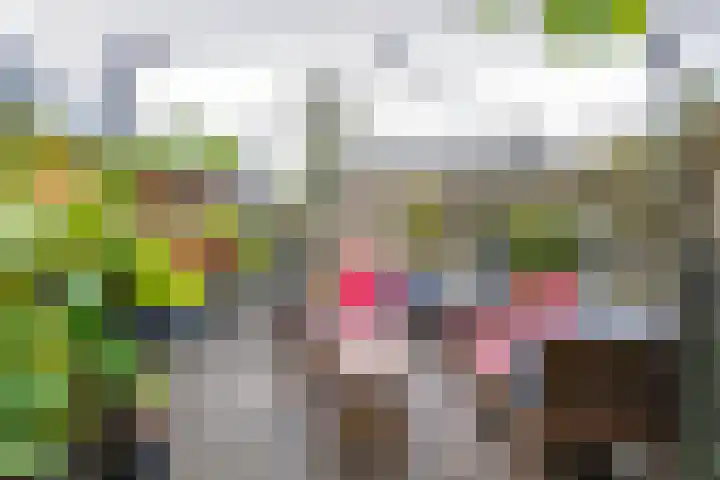 Baggelaar 7 Peize thumbnail 49