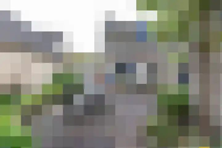 Baggelaar 7 Peize thumbnail 5