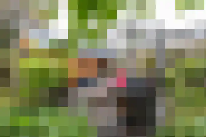 Baggelaar 7 Peize thumbnail 50