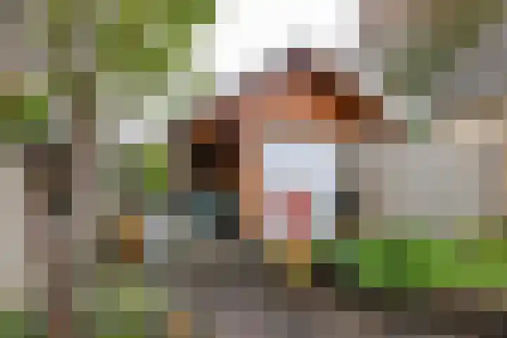 Baggelaar 7 Peize thumbnail 53