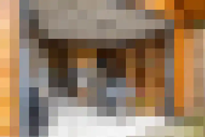 Baggelaar 7 Peize thumbnail 54