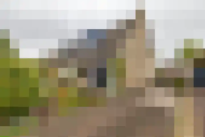 Baggelaar 7 Peize thumbnail 6