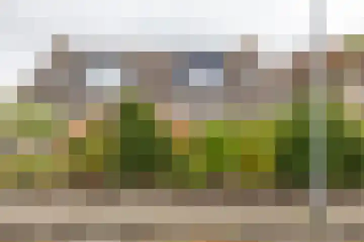 Baggelaar 7 Peize thumbnail 7