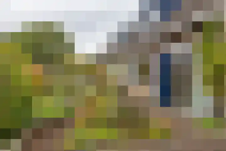 Baggelaar 7 Peize thumbnail 9