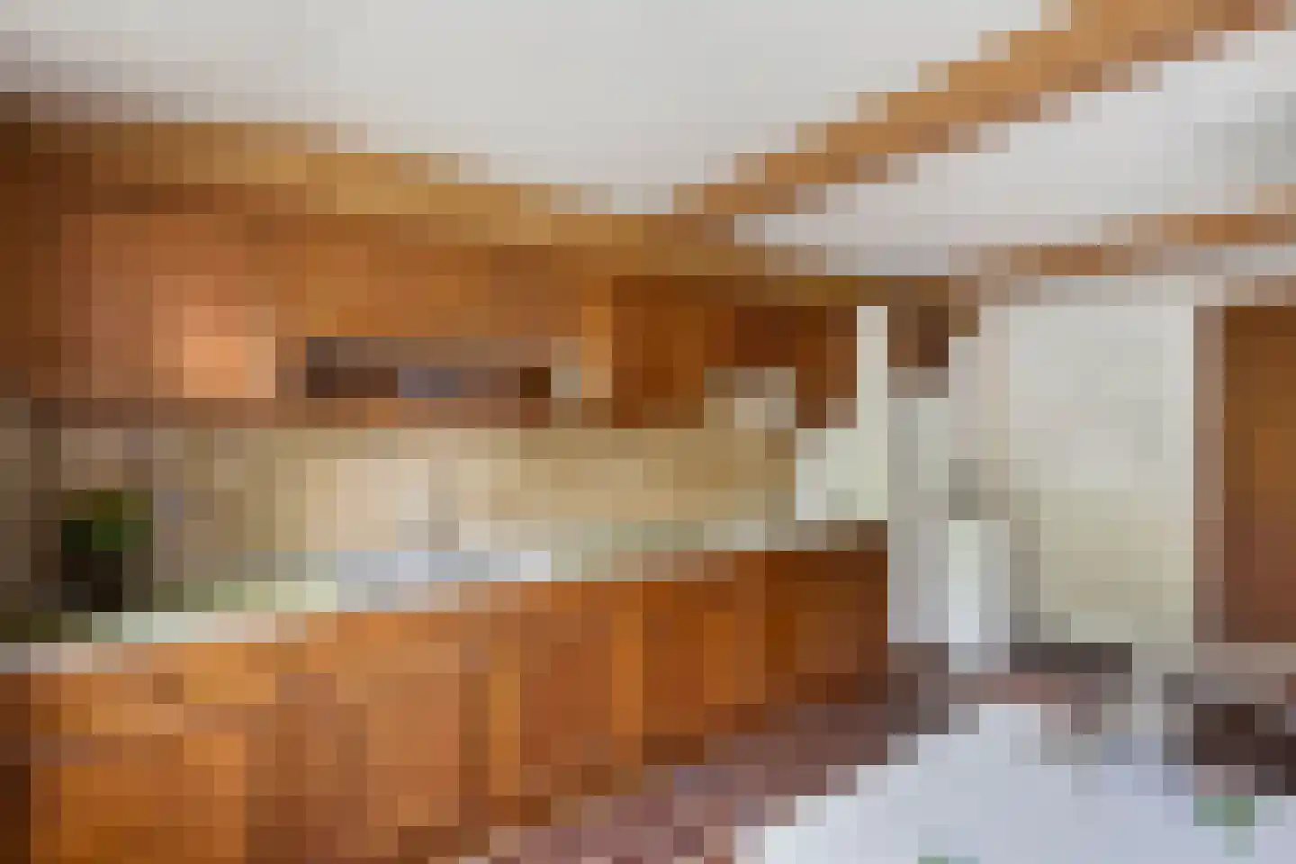 Bagijnenland 10 Edam thumbnail 12