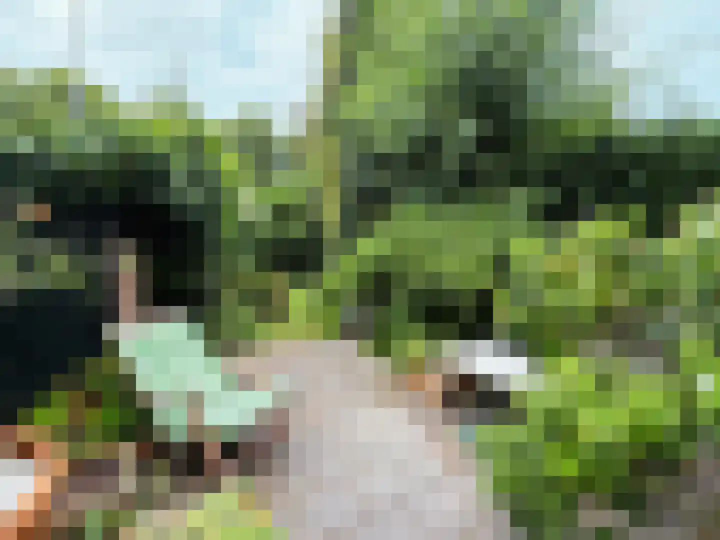 Bagijnenland 10 Edam thumbnail 16