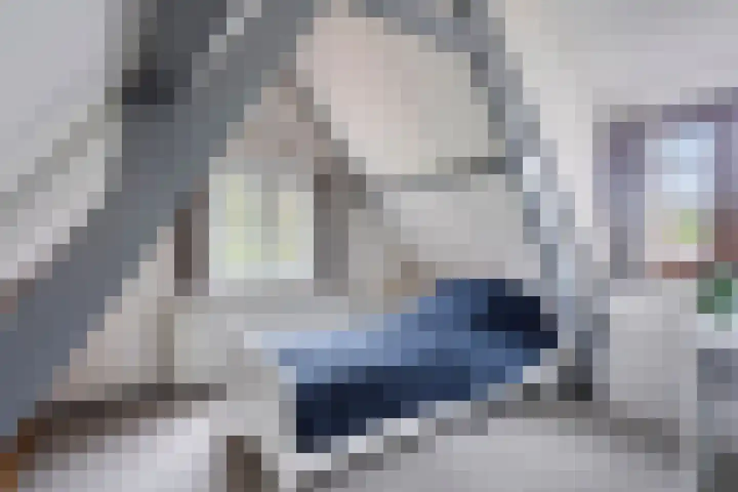 Bagijnenland 10 Edam thumbnail 18