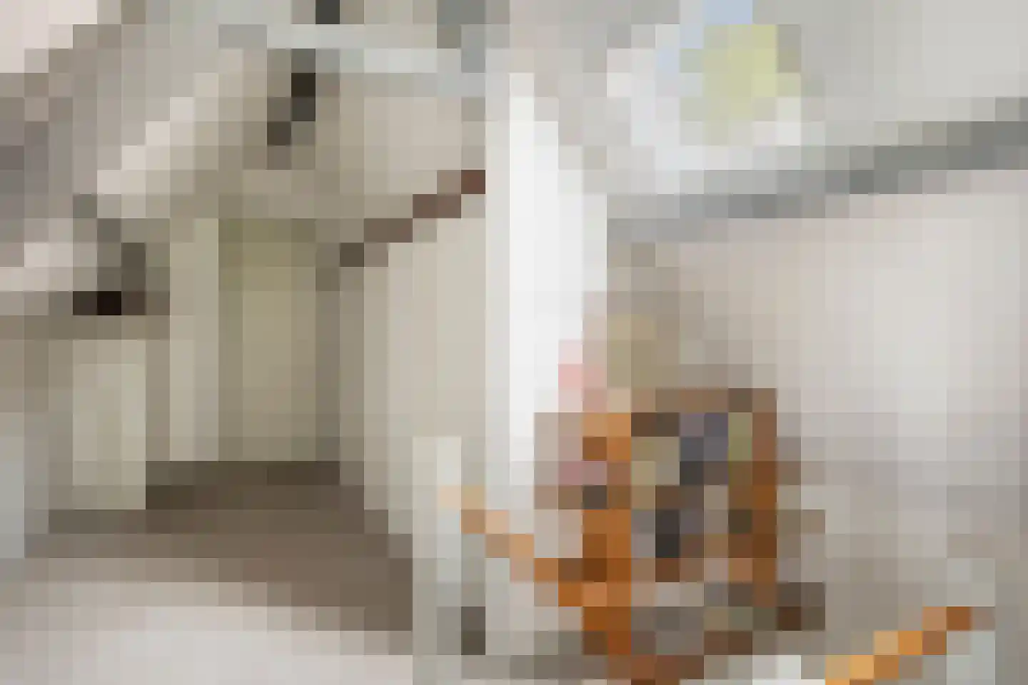 Bagijnenland 10 Edam thumbnail 21