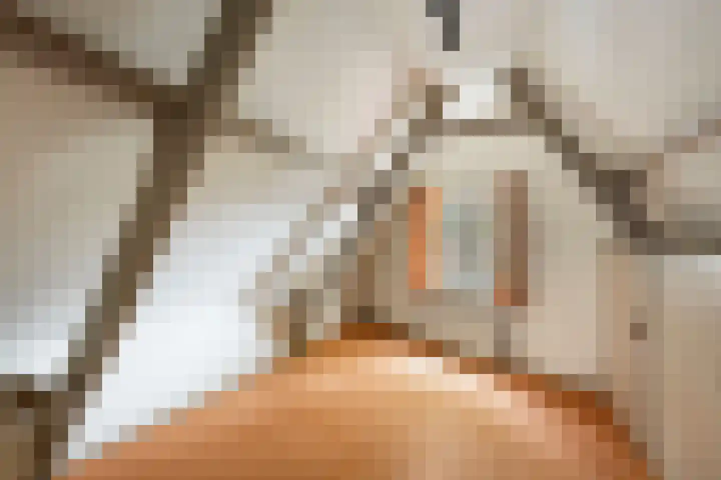 Bagijnenland 10 Edam thumbnail 22