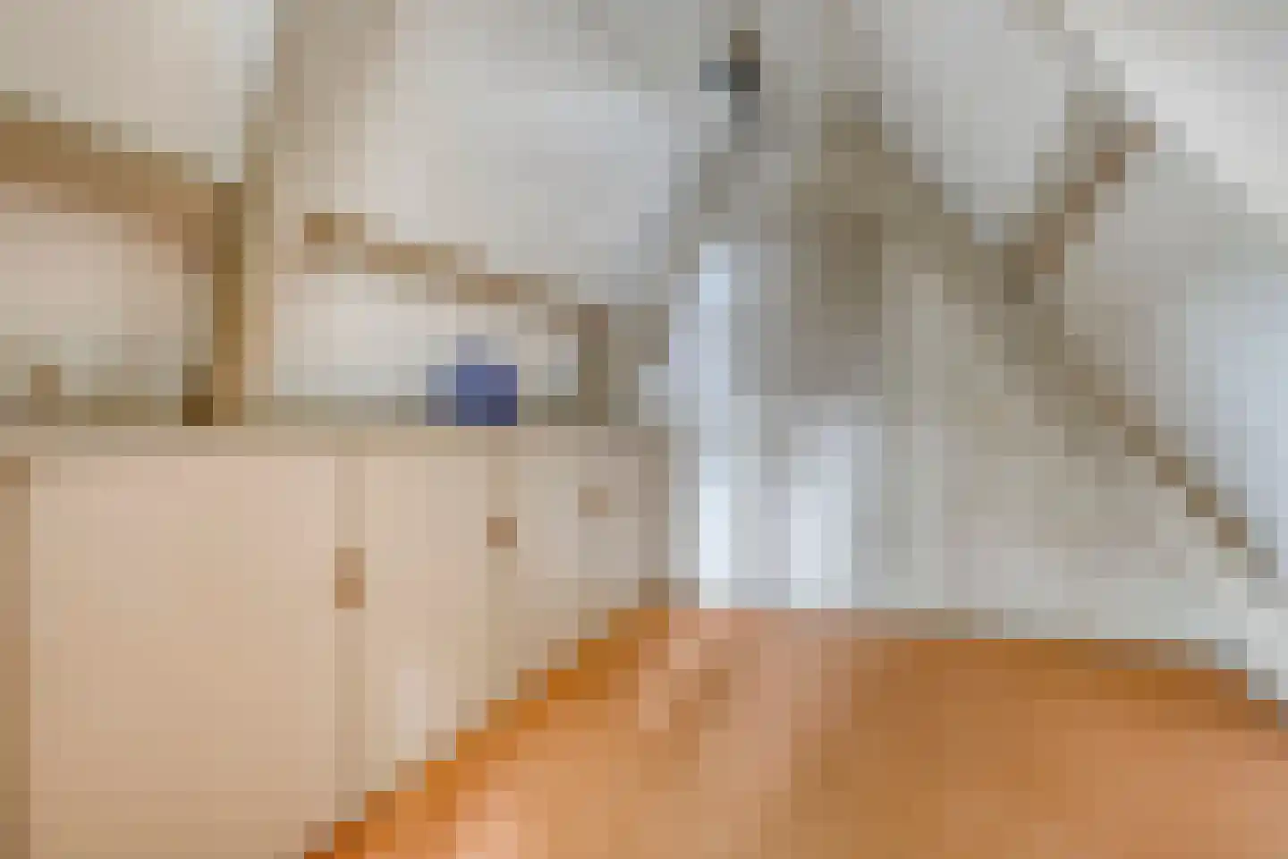 Bagijnenland 10 Edam thumbnail 23