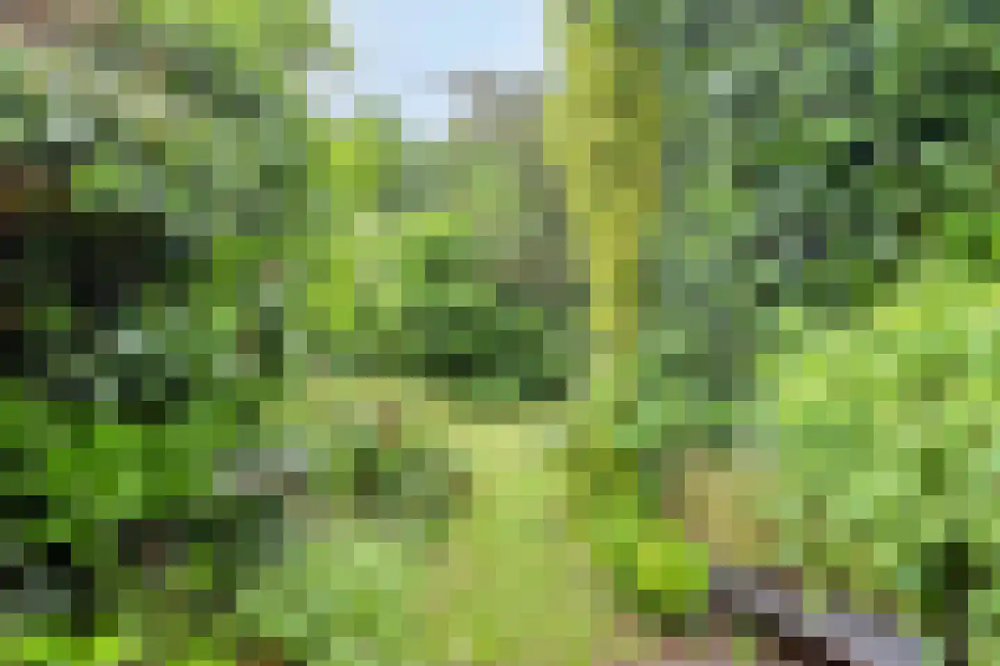 Bagijnenland 10 Edam thumbnail 24