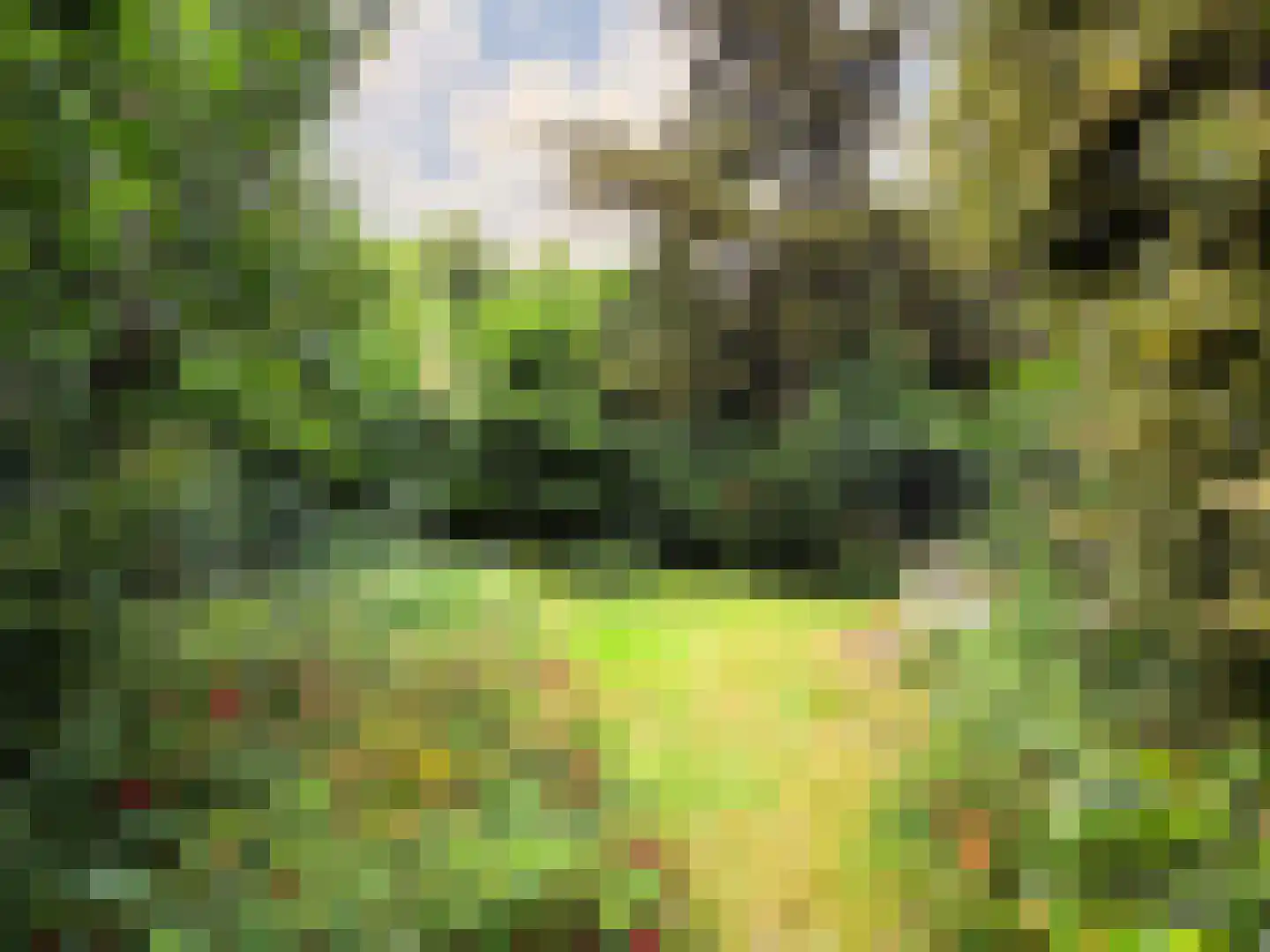 Bagijnenland 10 Edam thumbnail 24