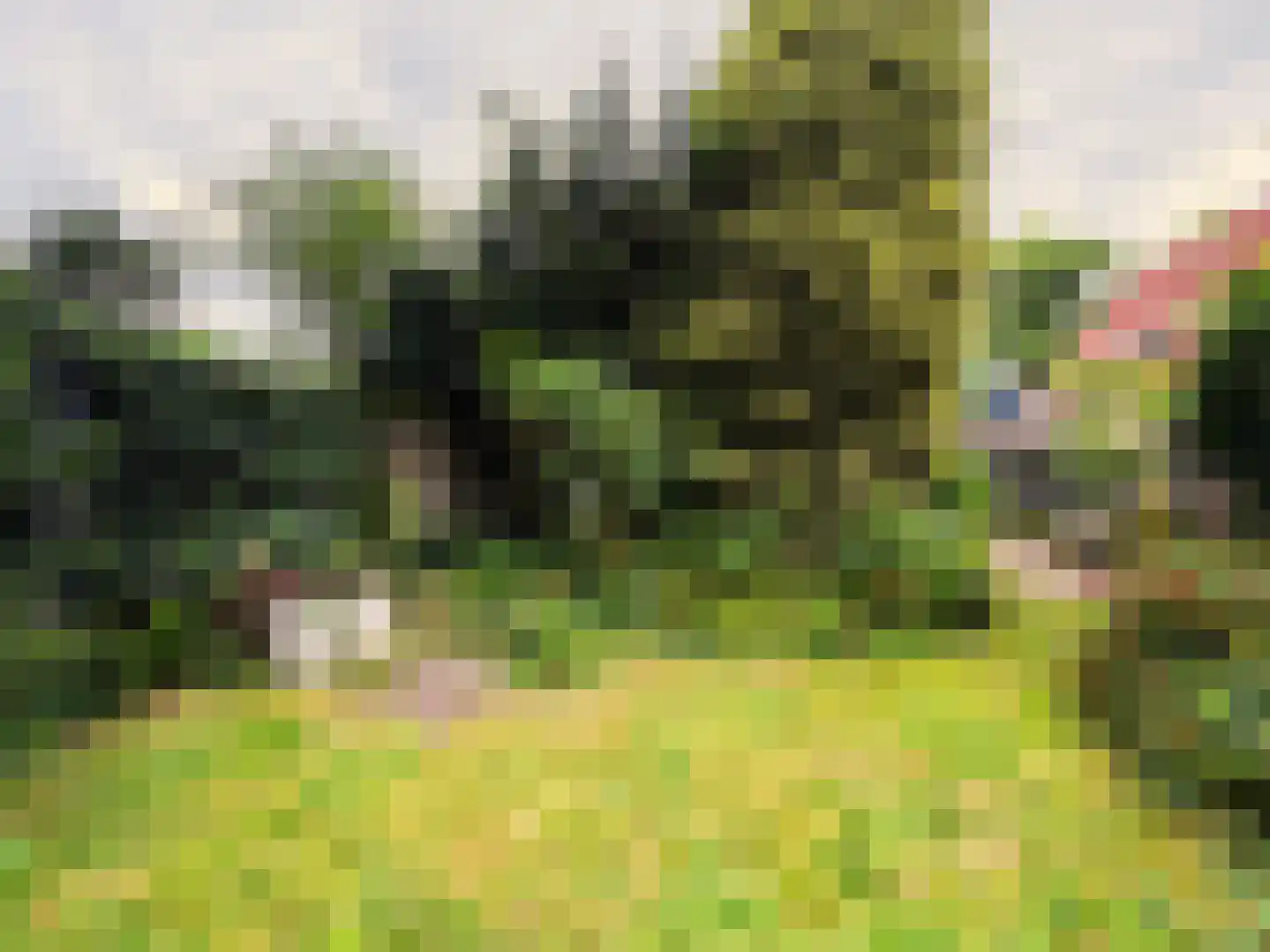Bagijnenland 10 Edam thumbnail 25