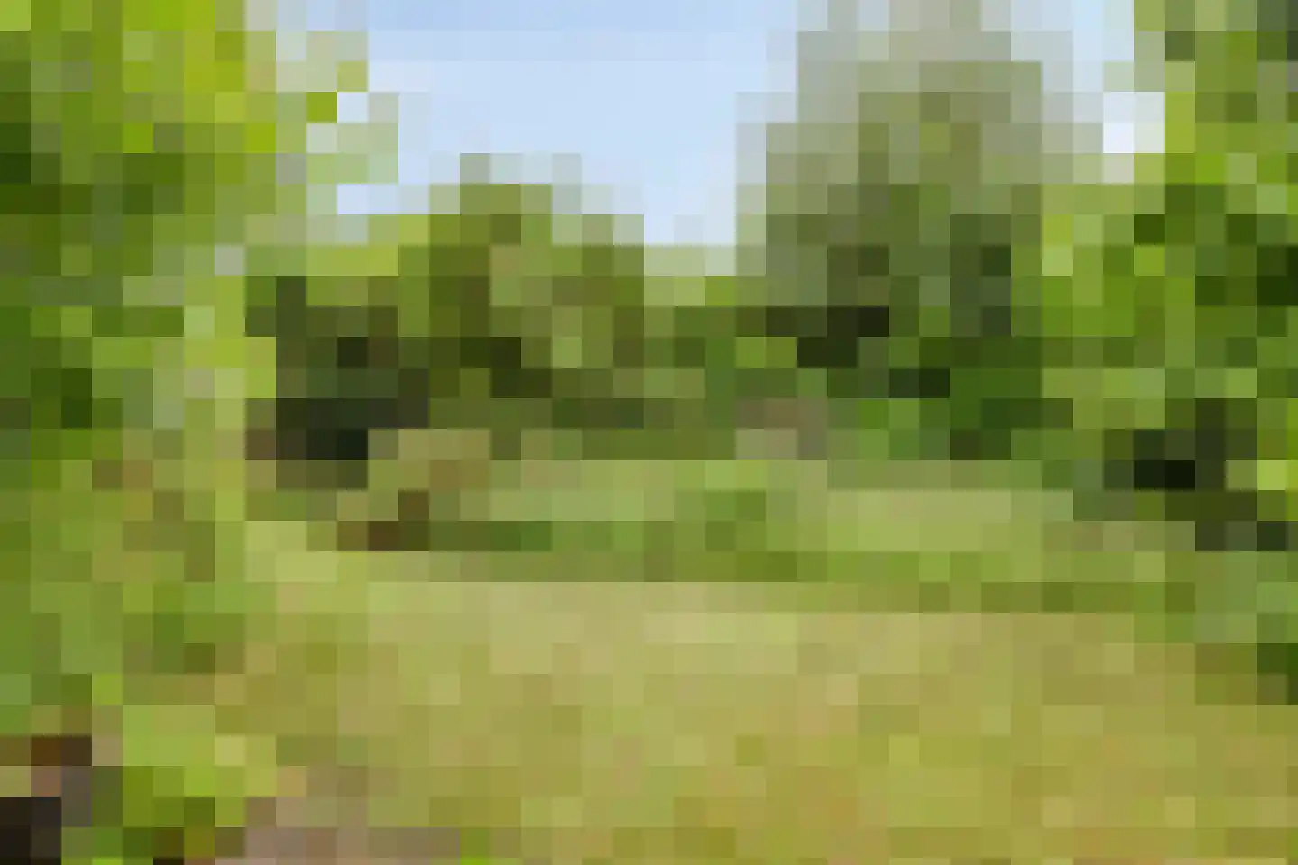 Bagijnenland 10 Edam thumbnail 26