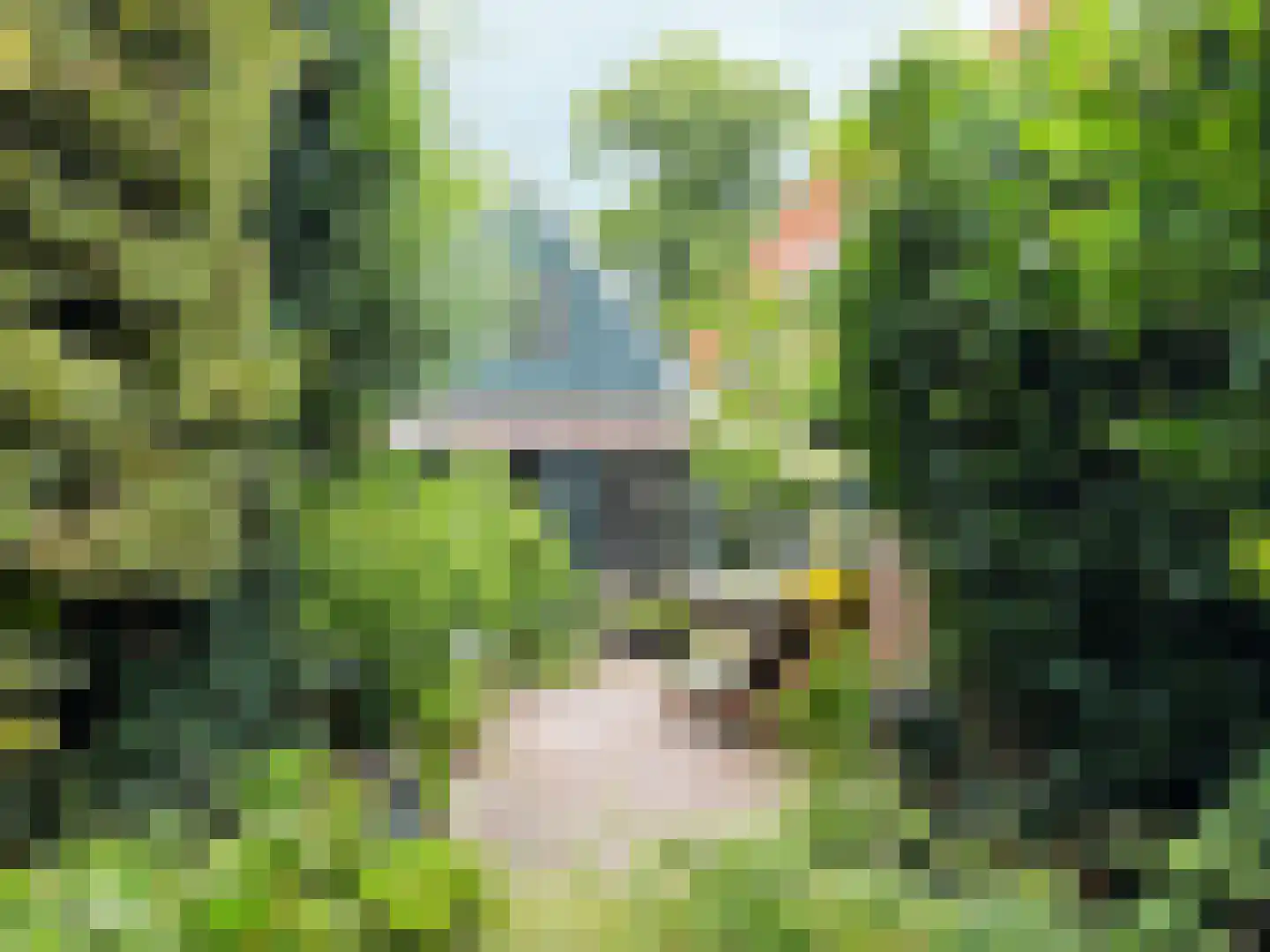 Bagijnenland 10 Edam thumbnail 27