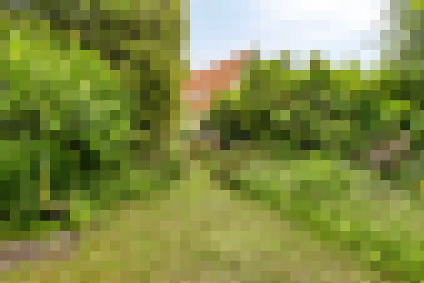 Bagijnenland 10 Edam thumbnail 27