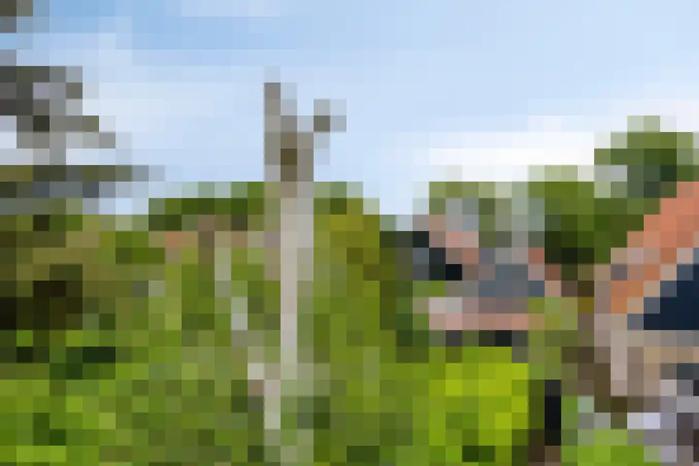 Bagijnenland 10 Edam thumbnail 28